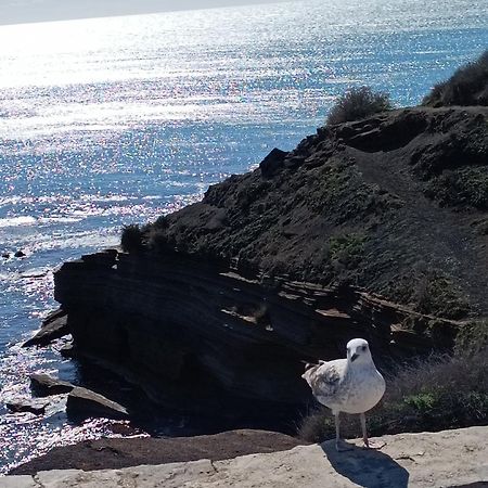 Au Cap ! Apartment Agde Bagian luar foto